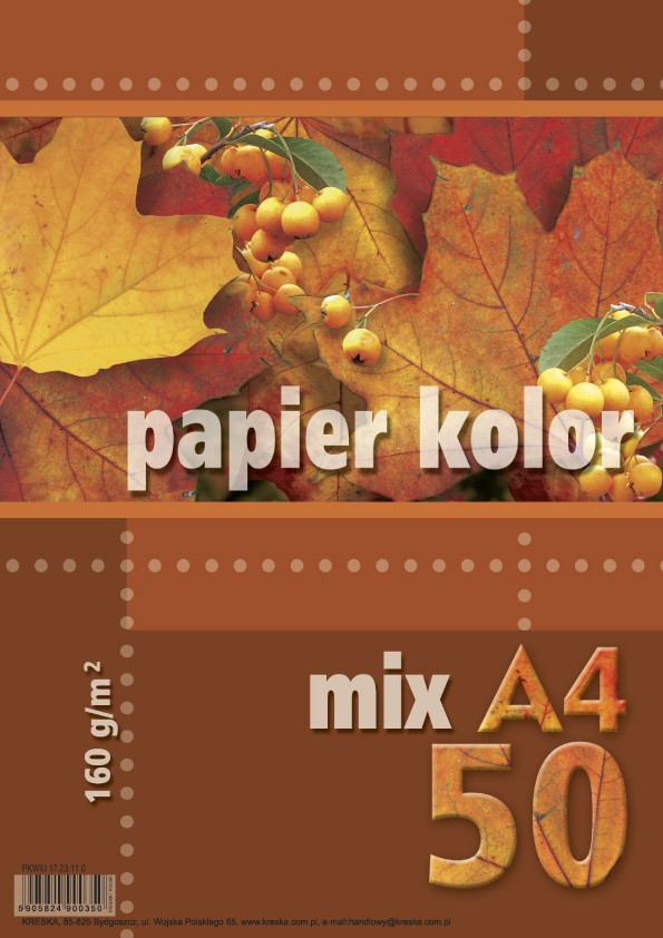 Papier ksero A4 160g 50ark. mix 5 kolorów intensywnych